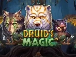 Druid's Magic